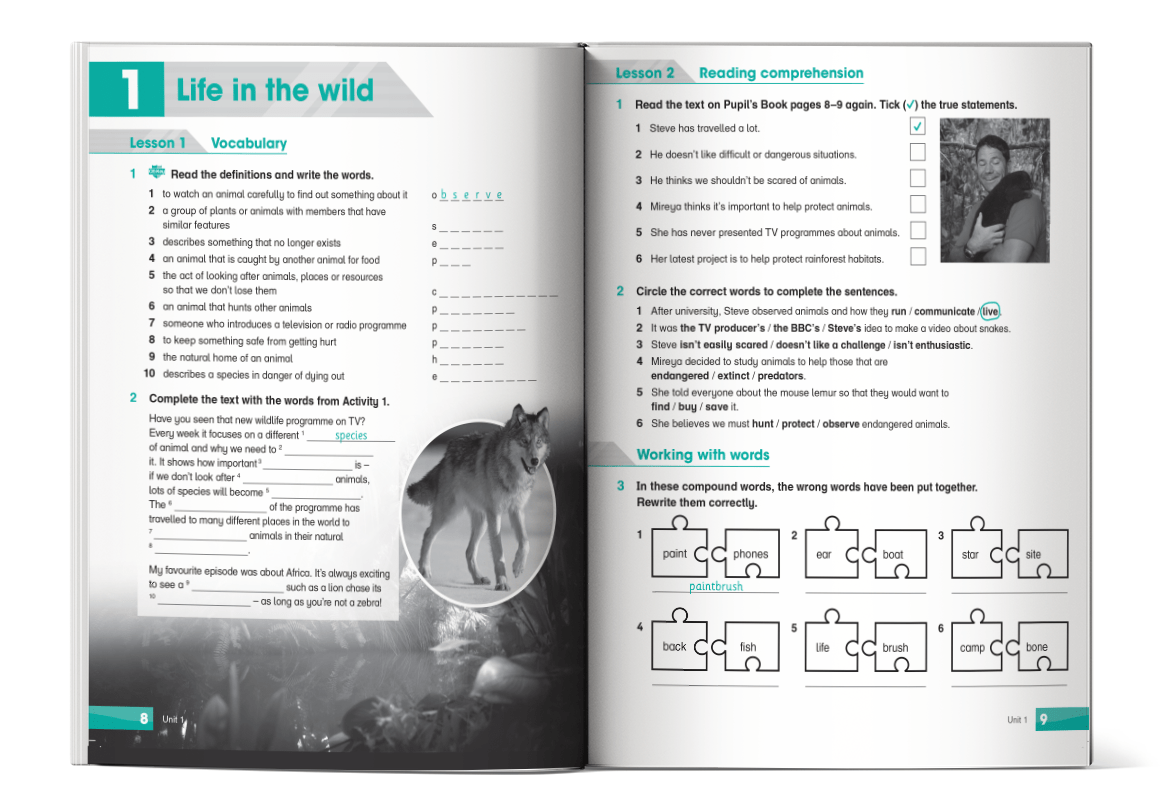Academy Stars Workbook 6 - Ảnh 2
